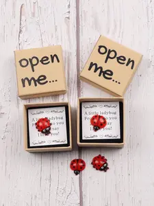 Cute Seven-Pointed Ladybug Themed Gift Box, Surprise Open Box with Card, Resin Ladybug, Perfect for Friends, Family, Teachers, Couples