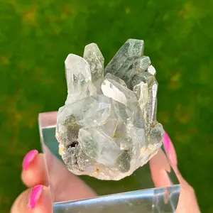 Clear Quartz with Green Chlorite Inclusions From Pakistan