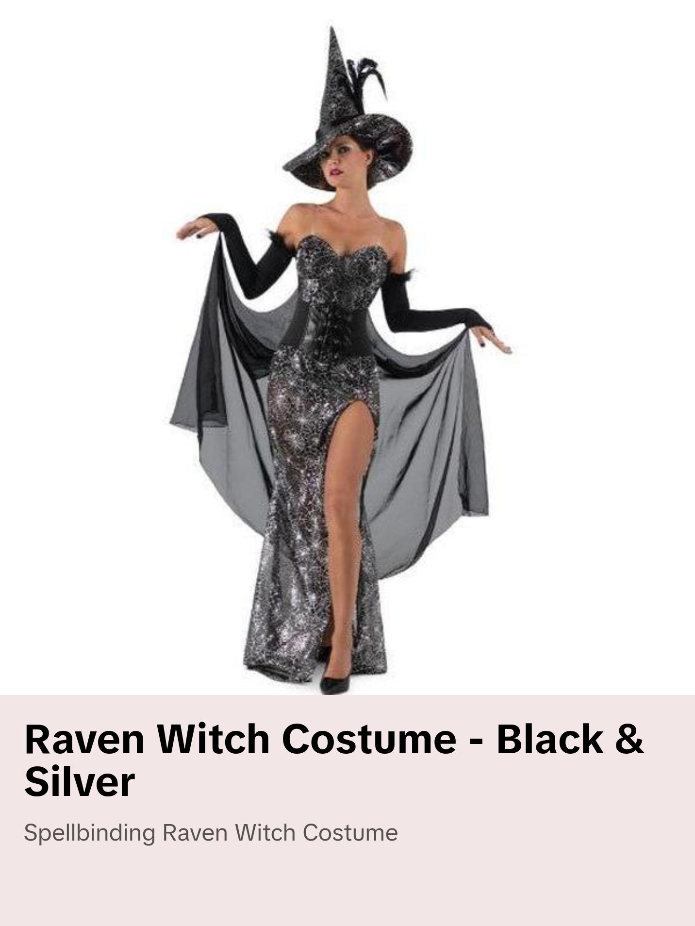 Raven Witch - Black & Silver - Spider Webs - Deluxe Costume - Adult - 3 Sizes