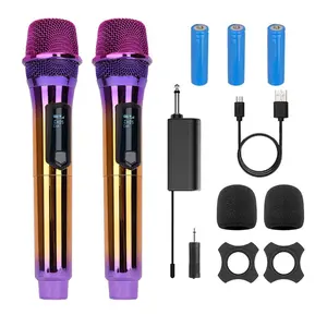 LMBGM Wireless Microphone, 1 Set USB Rechargeable Wireless Microphone, Professional Microphone for Karaoke Singing, Speech, Wedding, Church, PA System, Audio