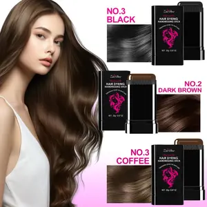 Disposable Hair Dye Stick - Sweat-proof Water-proof Oil-proof Gray Hair Cover 20g Portable 2-in-1 Design Travel-friendly Time-saving High Coverage Temporary Color Haircare #01 quick touch