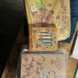 Cute Cartoon Capybara Design Stationery Set, Desk Supplies Set, 1 Set Including Pencil Case & Stationery, School Supplies for Students, Back To School Gifts