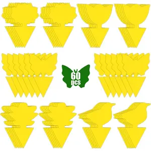 60 Pack Fruit Fly Trap for Indoors, Gnat Traps for House Indoor, Fungus Gnat Killer Sticky Traps for Plants, Bug Pest Insect Catcher Killer