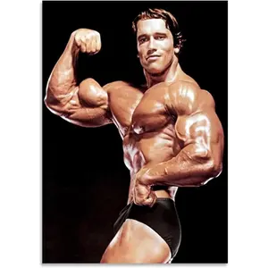 No Framed, Gym Arnold Schwarzenegger Wall Art Decor Fitness