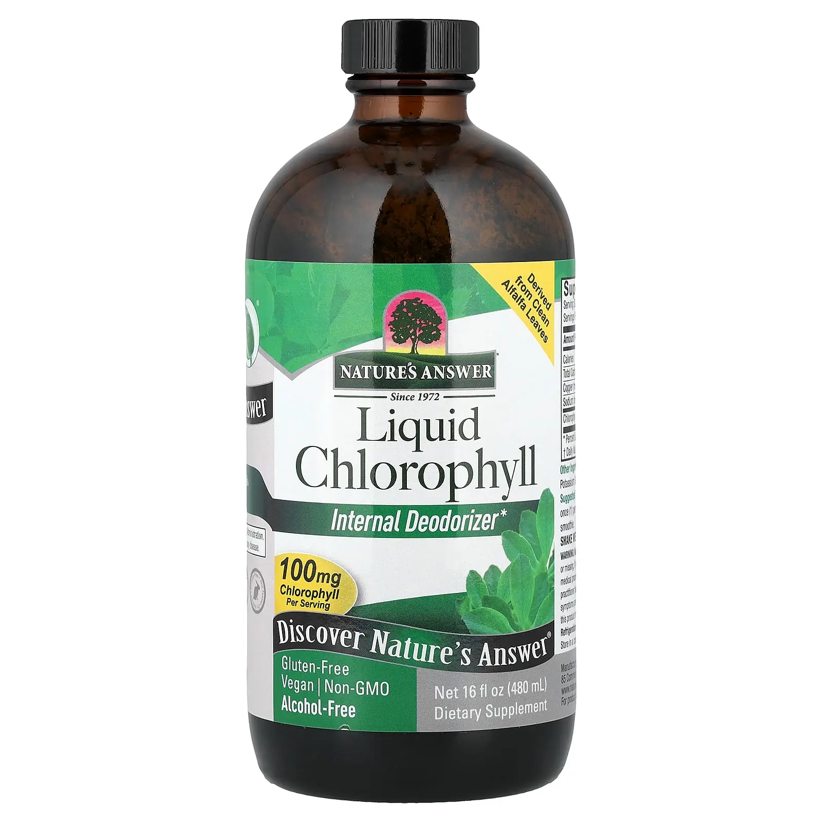 Nature's Answer Liquid Chlorophyll, Alcohol Free, 16 fl oz (480 ml)