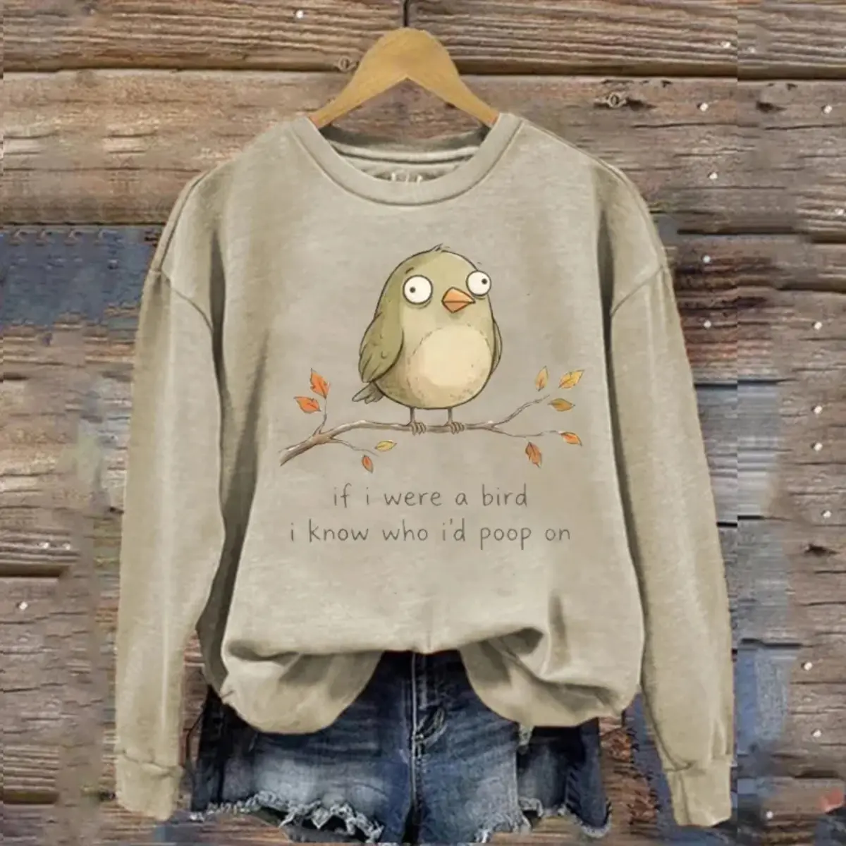 If I Were a Bird I'd Know Who I'd Poop On Sweatshirt, Funny Bird Crewneck, Sarcastic Animal Sweatshirt, Cute Cartoon Bird Pullover, Retro Humor Sweater, Gift for Bird Lovers & Friends