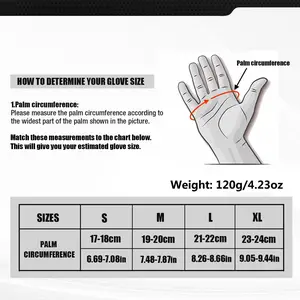 Sports Gloves, Windproof, Touchscreen, Ideal for Cycling, Rock Climbing, Motorcycle Riding, Sport Accessories