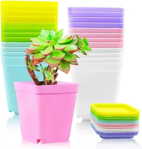 Haawooky 24 Pack Colorful Flower Pots Square Plastic Plant Pots Succulent Planter Nursery Pots with Saucers for Your Room,Garden Office and Balcony Decor