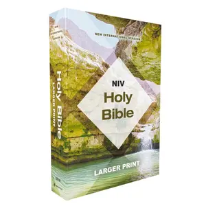 USED-Niv, Holy Bible, Larger Print, Economy Edition, Paperback, Teal/Tan, Comfort Print by Zondervan (Paperback)