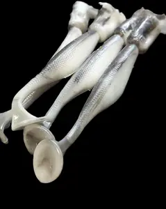 4.2" PADDLE TAIL SWIMBAIT
