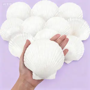 Bulk Natural Scallop Shells for Crafts DIY Painting Baking Decor Large 4-5 Inch White Seashells Beach Wedding Party Supplies Ocean Theme Home Decoration