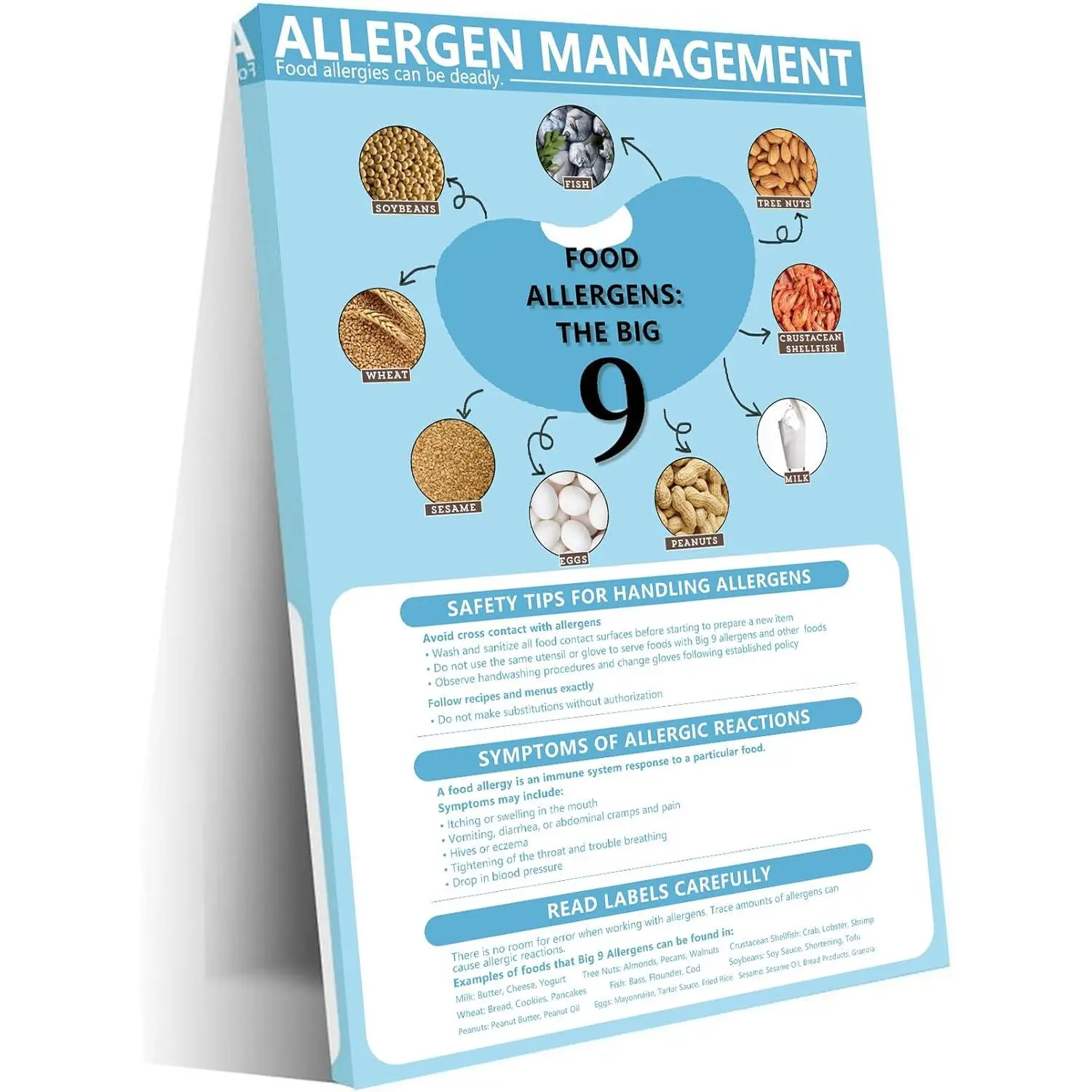 9 Food Allergies Canvas Print Poster - Allergen Management, Healthy Eating Wall Art, Hospital Awareness Decor - Home Supplies for Living Room Office Aesthetic Wall Decoration