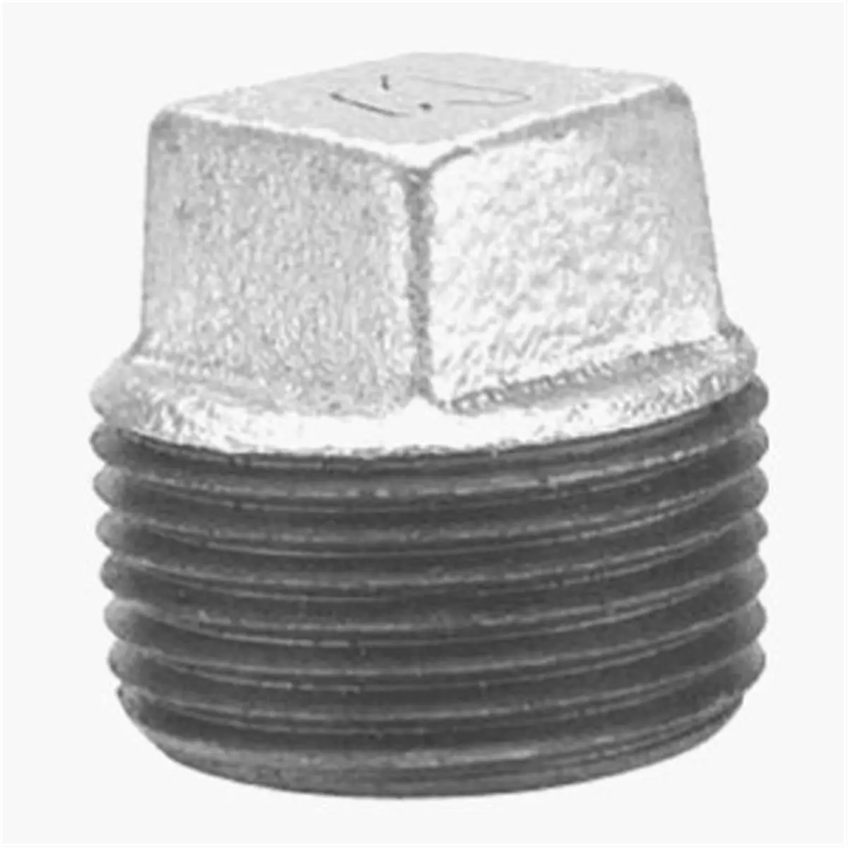 212 MAIN 2 Inch Pipe Fitting Plug, Galvanized Malleable Iron with Male NPT Threads for a Tight Seal on Water Pipe, Corrosion Resistant