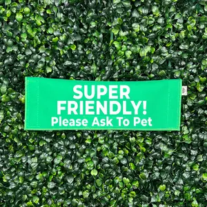 Super Friendly - Please Ask To Pet Leash Sleeve