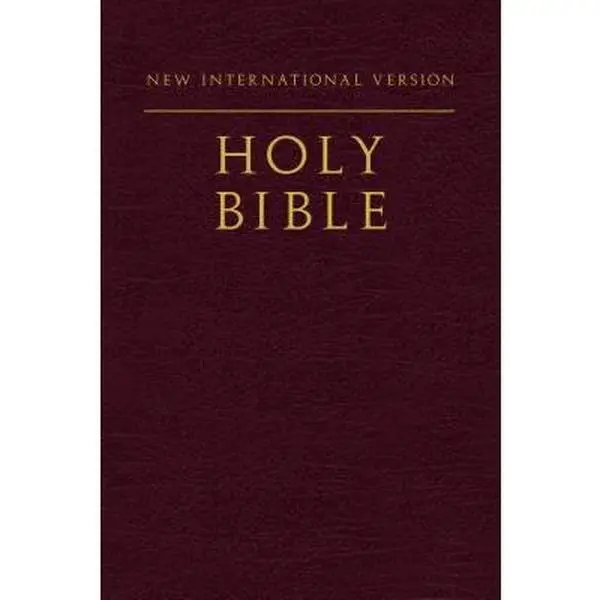 USED-NIV, Holy Bible, Compact, Paperback, Burgundy by Zondervan (Paperback)
