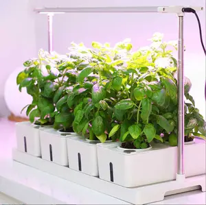 Grow24 Indoor Herb and vegtables Garden Kit with LED Grow Light, 4 Planter Pots, Hydroponic Growing System, White