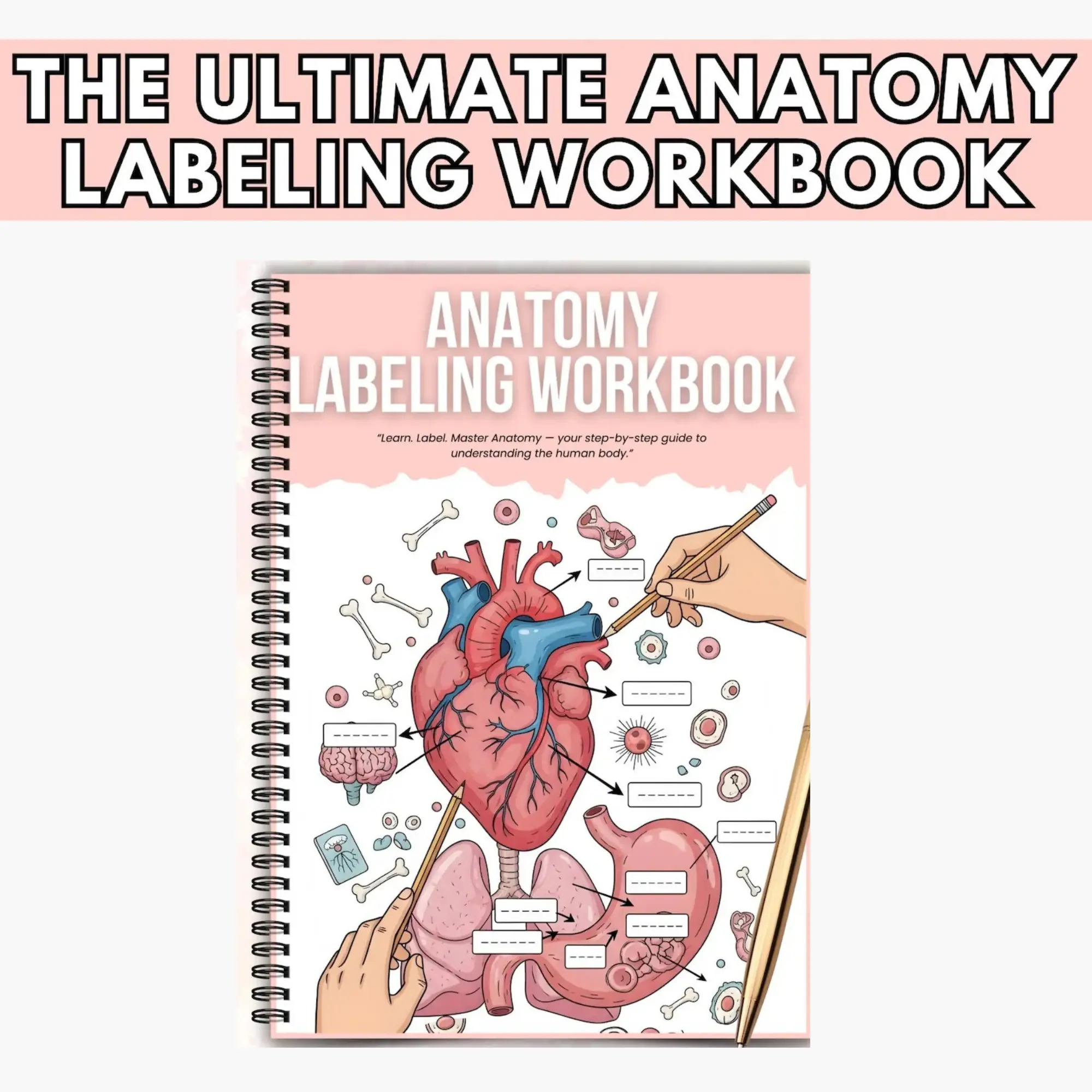 Anatomy Labeling Workbook, Human Anatomy Practice Book, Interactive Labeling Exercises for Students, Biology Study Workbook, Medical Education Learning Guide