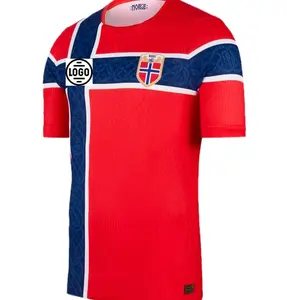 Personalized Full Set Norway Soccer Jersey World Cup 2026, Custom Name Number Logo National Soccer Jersey L