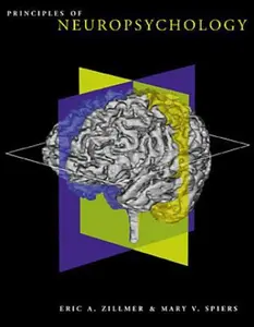 USED-Principles of Neuropsychology by Eric A. Zillmer (Hardcover)