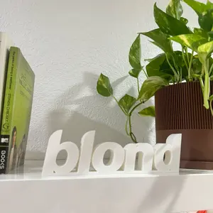 Frank Ocean Blond Sign - Desk or Shelf Display in 9 Colors