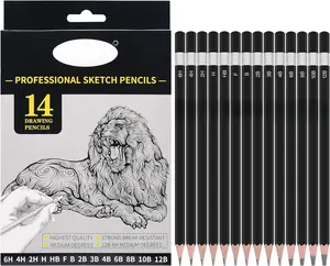 Professional Triangular Drawing Sketching Pencil Set,6H,4H,2H,H,HB,F,B,2B,3B,4B,6B,8B,10B,12B Graphite Shading Pencils for Beginners,ProArtists,Drawing,Drafting,Sketching,Shading(14 Pcs)