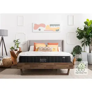 Raven Flippable Hybrid