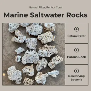 Dry Rocks Marine Saltwater Fish Tank Aquarium Reef, Cured and Ready 10 Pounds