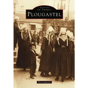 USED-Plougastel (French Edition) by Hervé Quintin (Paperback)