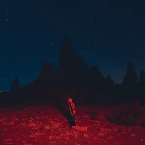 Phoebe Bridgers - Punisher