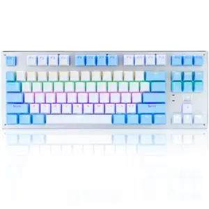 RF-87 Rainbow Mechanical Gaming Keyboard 87 Key LED Backlit Wired with Anti-Dust Proof Switches typewriter keyboard