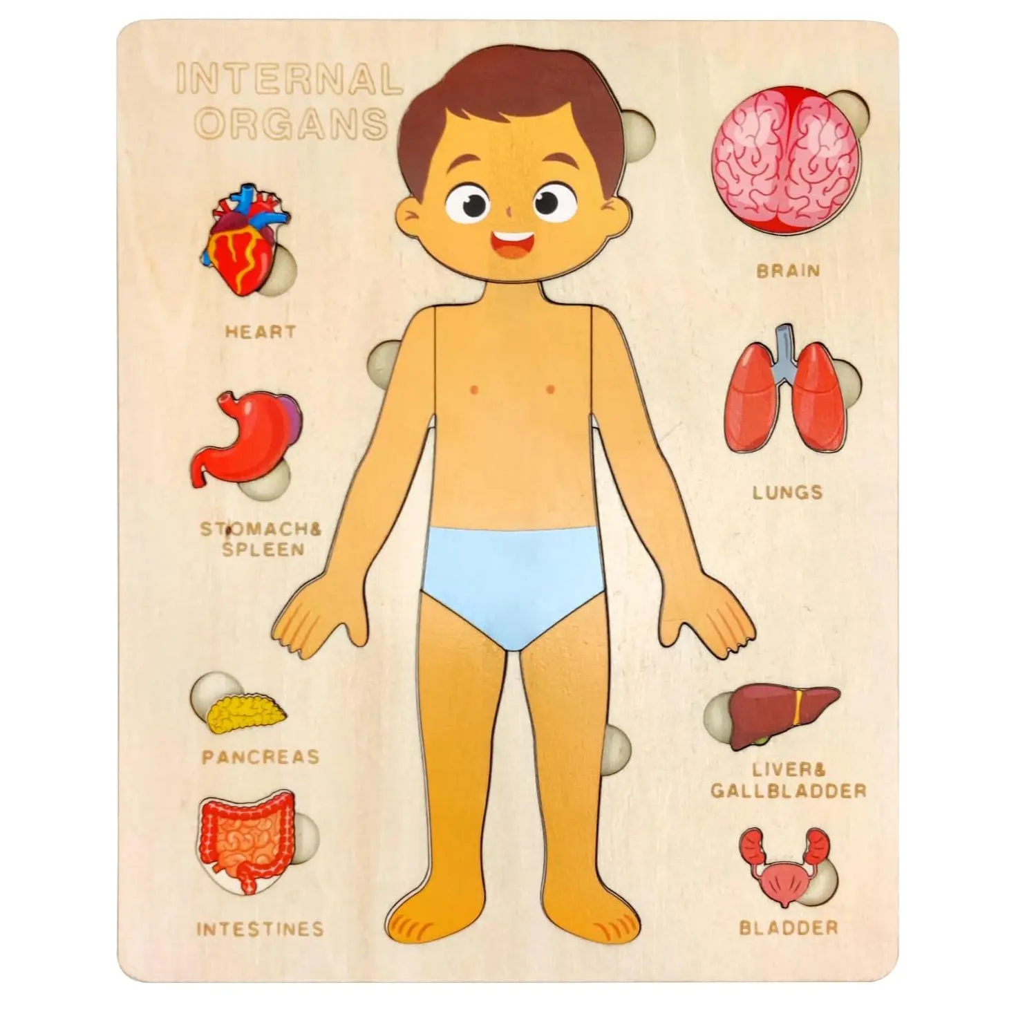 Wooden Body Puzzle for Kids Ages 3-6, Montessori Anatomy Educational Toy, Puzzles for Toddlers, Fun Learning and Play for Toddlers