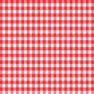 Magic Cover Red/White Checkered Vinyl Disposable Tablecloth 70 in. L X 52 in. W