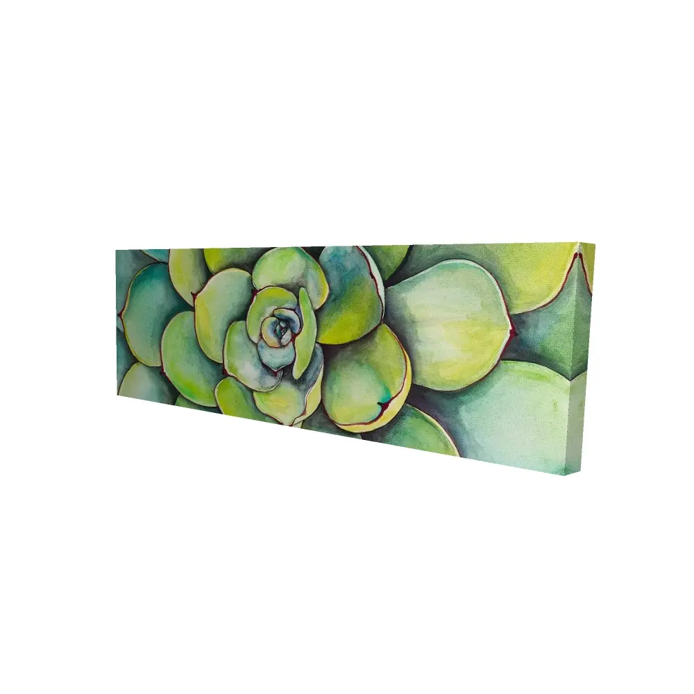 Begin Home Decor 2080-1648-FL136 16 x 48 in. Floral & Botanical Green Cactus Canvas - Watercolor Succulent Decor