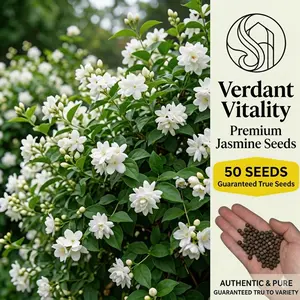 【B2G1 FREE】50x Premium Non-GMO Climbing Jasmine Seeds - Fragrant Star Jasmine for Privacy Fences & Balconies, Evergreen Aromatic Flower Seeds for Home Garden Decor