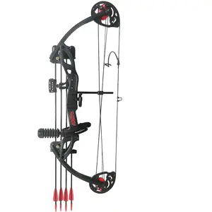 Compound Bow Archery for Youth and Beginner, Right Handed,19”-28” Draw Length,15-29 Lbs Draw Weight, 260 fps