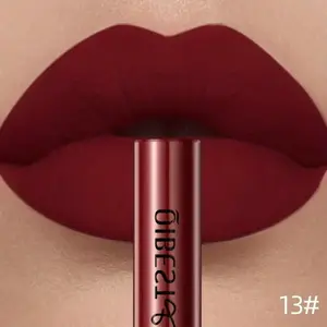 Matte Velvet Lip Gloss, 24 Colors Non-Stick Cup, Full Coverage, Various Shades, Suitable for All Skin Types, Everyday Use