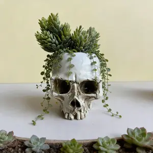 1pc Modern Resin Skull Bowl Candy Dish, Skeleton Head Plant Pot for Succulents, Succulent Planter, Decorative Ornament for Living Room Bedroom Office Garden Balcony
