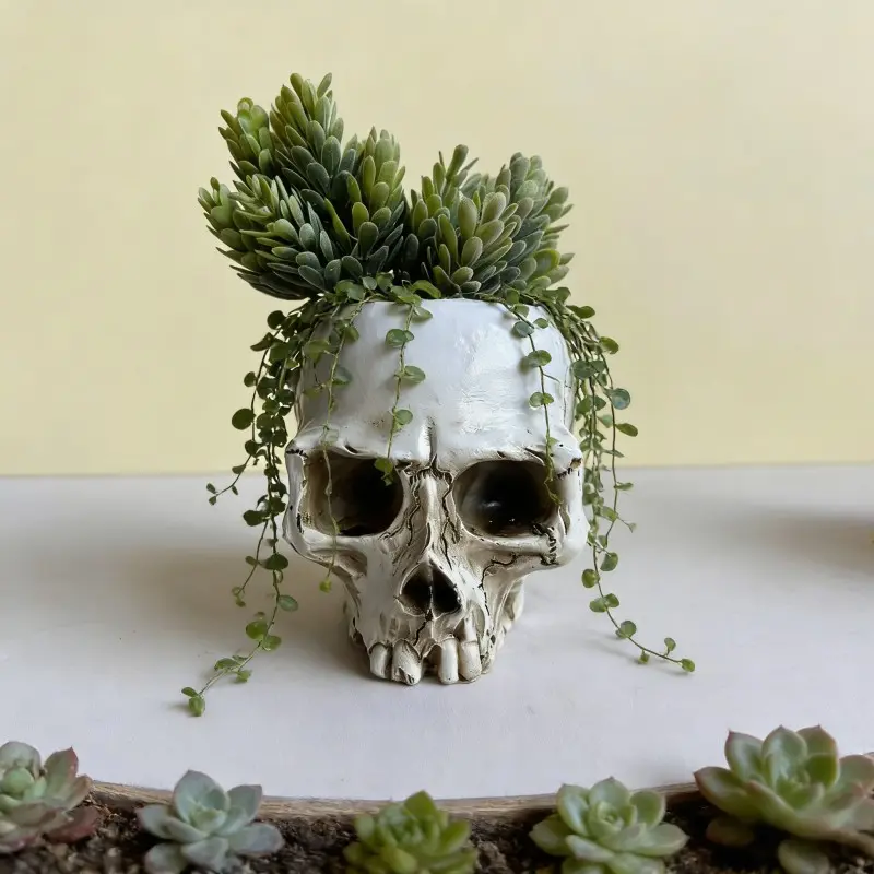 1pc Modern Resin Skull Bowl Candy Dish, Skeleton Head Plant Pot for Succulents, Succulent Planter, Unique Pots, Modern Plant Pots, Decorative Ornament for Living Room Bedroom Office Garden Balcony