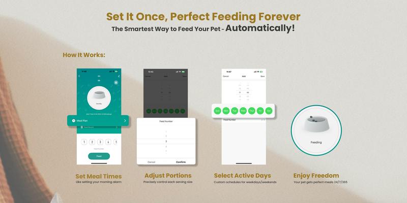 Geoorood Automatic Cat Feeder with Camera, 1080P HD Video, 2.4G WiFi Smart Pet Feeder with One-Way Audio, 4L Large Capacity, Dual Bowl Design for Cats and Small/Medium Dogs Geoorood Automatic Cat Feeder with Camera, 1080P HD Video, 2.4G WiFi Smart Pet Feeder with One-Way Audio, 4L Large Capacity, Dual Bowl Design for Cats and Small/Medium Dogs