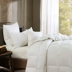 HiEnd Accents Super Soft Down Duvet Cover Insert