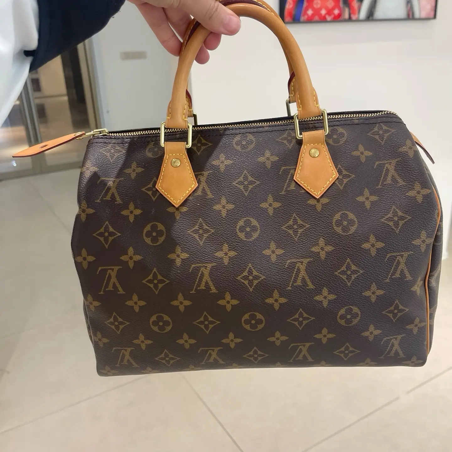Pre-owned Louis Vuitton Pre loved Speedy 30 Monogram Canvas Handbag