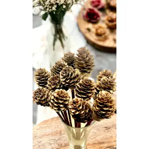 Mini Pine Cone, 9” Rattan Wood Reed Diffusers Replacement Sticks, 16 pk Floral Decor Fragrance Aroma Scent Flower Woody Nature Scented Perfume