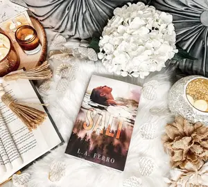 SALT: A Slow Burn Age Gap Romantic Novel by L.A. Ferro Book Series Book Box Set