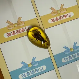 Amber Real Insect Specimen Pendant with Scorpion Butterfly and Bee, Unique Water Droplet Shape, Handcrafted Art Jewelry