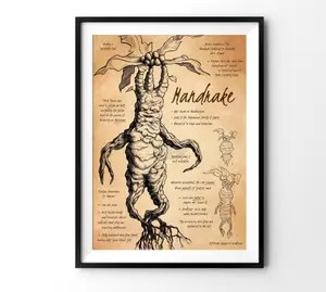 Mandrake Poster, HP Poster, HP Wall Hanging, HP Magic Animal Poster, Potterhead Home Decor, HP Wall Decor, Wizard World Poster, Herbology 438100 Photo Room