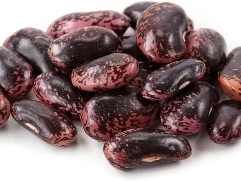 Scarlet Runner Pole Bean Seeds for Planting, 25+ Heirloom Seeds Per Packet,  Non GMO Seeds, Botanical Name: Phaseolus coccineus, Great Home Garden Gift