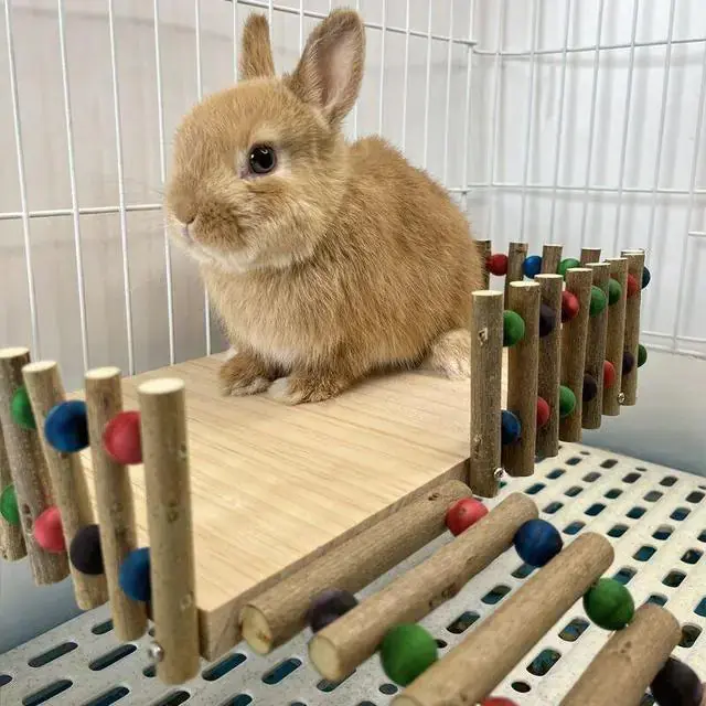 Wodden Rabbit Nest