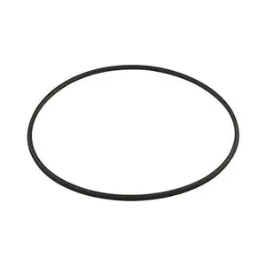 Hayward Seal,Filter,Metal Reinforced | DEX2422Z2