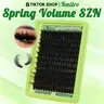 Plant-Based Mixed Individual Lash Cluster Kit, D Curl Fluffy Wispy 14-24mm 240D Waterproof DIY Makeup Eyelash Extensions, 192Pcs Soft Clusters for Application, Mixed Individual Lashes