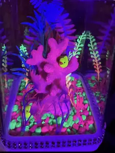 FUN BLACKLIGHT Jumping Spider Enclosure Habitat